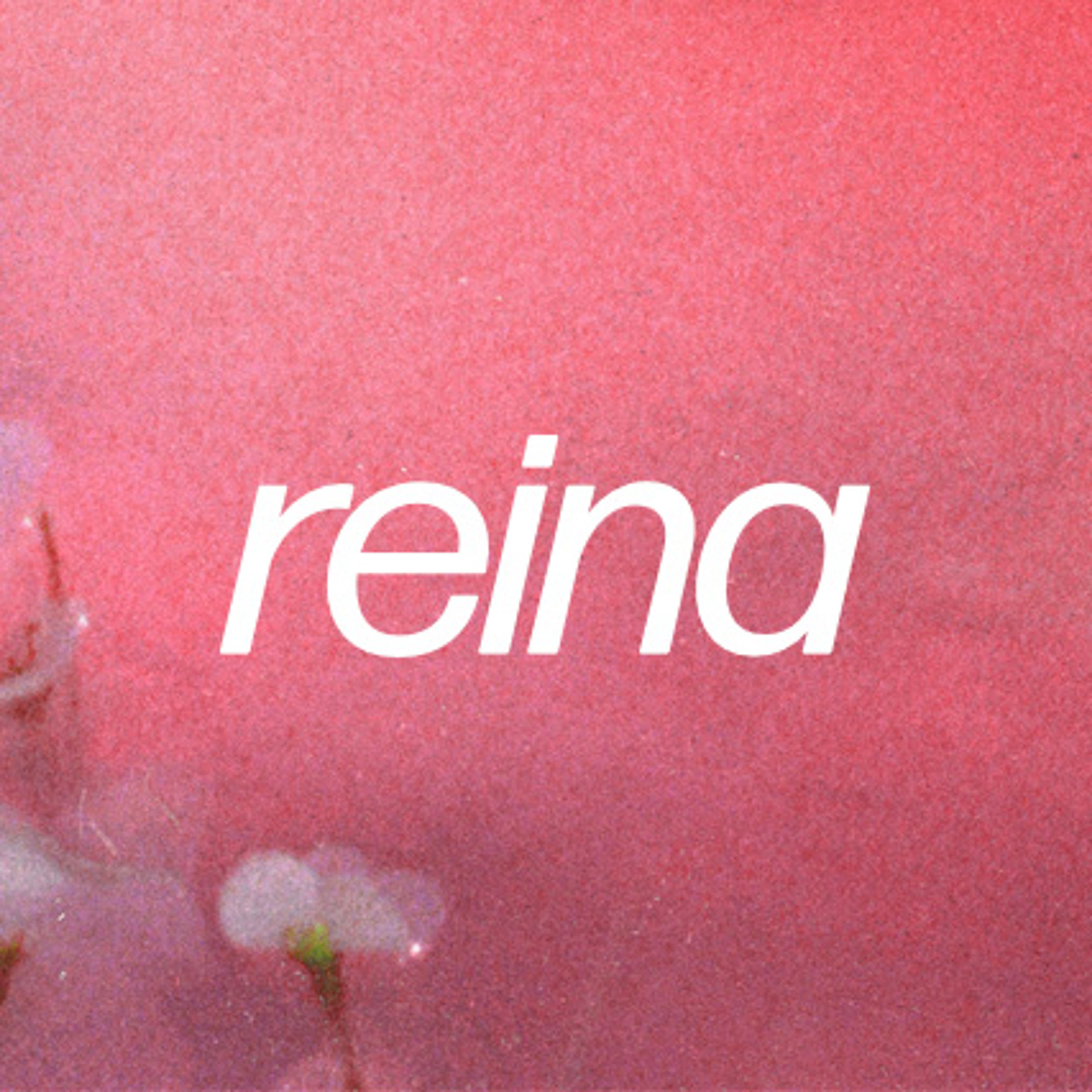 Logo for reina. There is a grainy texture overlay on a soft pink background. In the foreground, the word "reina" is centered in a lowercase, sans-serif font, with a crisp white color that stands out against the warm backdrop. In the bottom left corner, there are faint silhouettes of delicate white flowers with slender stems, partially obscured by the grainy overlay.